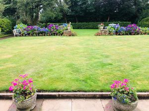 Summer garden- click for photo gallery